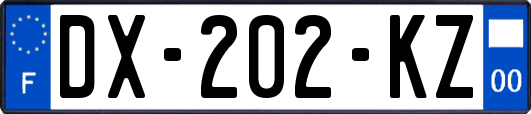DX-202-KZ