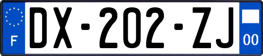 DX-202-ZJ