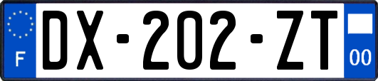 DX-202-ZT