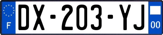 DX-203-YJ