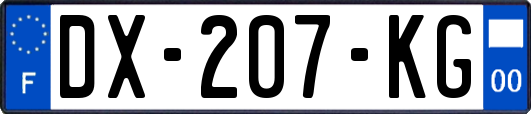 DX-207-KG