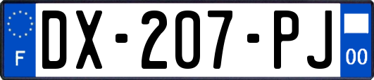 DX-207-PJ