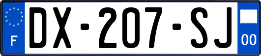 DX-207-SJ