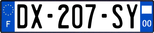 DX-207-SY