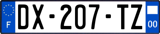 DX-207-TZ