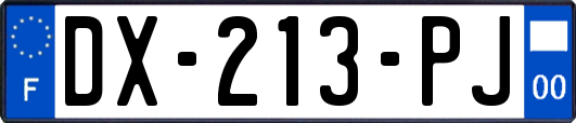 DX-213-PJ