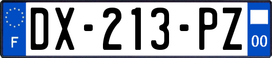 DX-213-PZ