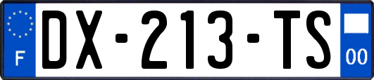 DX-213-TS