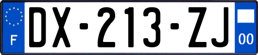 DX-213-ZJ