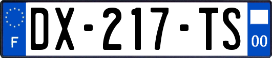 DX-217-TS