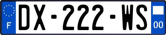 DX-222-WS