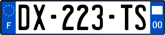 DX-223-TS