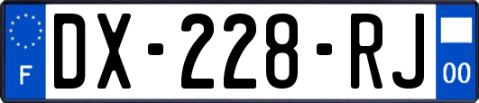 DX-228-RJ