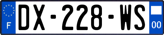 DX-228-WS