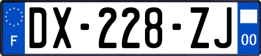 DX-228-ZJ