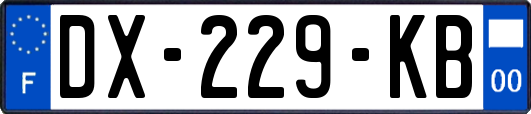 DX-229-KB