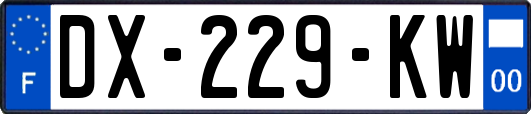DX-229-KW