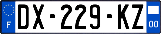 DX-229-KZ