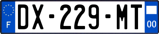 DX-229-MT