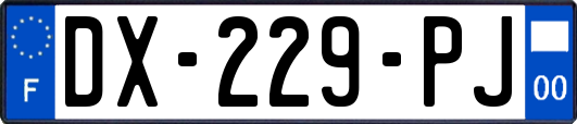 DX-229-PJ