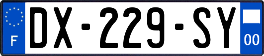 DX-229-SY