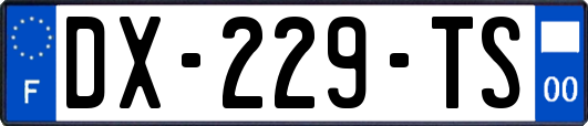 DX-229-TS