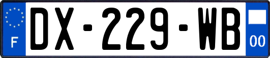 DX-229-WB