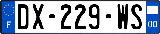 DX-229-WS