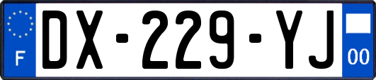 DX-229-YJ