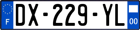 DX-229-YL