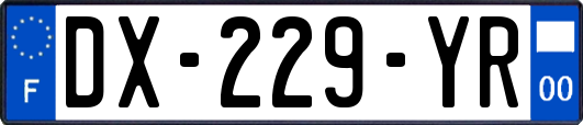 DX-229-YR