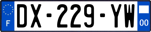 DX-229-YW