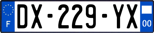 DX-229-YX