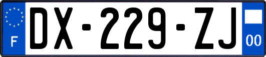 DX-229-ZJ