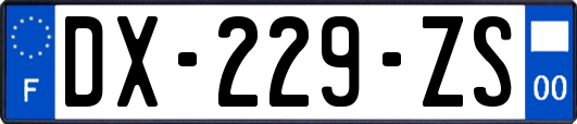 DX-229-ZS