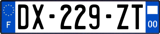 DX-229-ZT