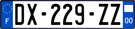 DX-229-ZZ