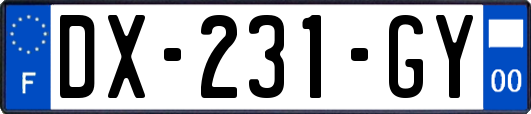 DX-231-GY