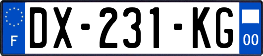 DX-231-KG