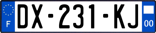 DX-231-KJ