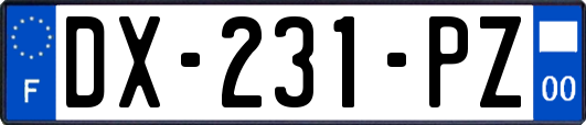 DX-231-PZ