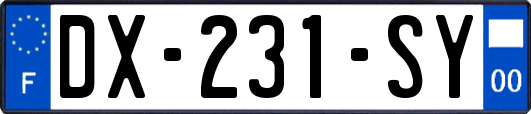 DX-231-SY