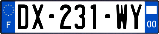 DX-231-WY
