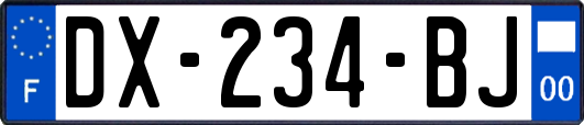 DX-234-BJ