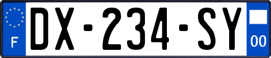 DX-234-SY
