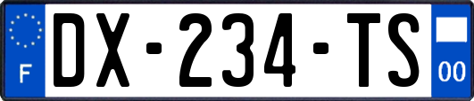 DX-234-TS