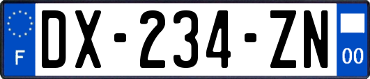 DX-234-ZN