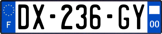 DX-236-GY
