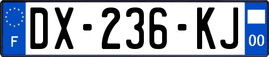 DX-236-KJ
