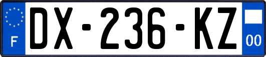 DX-236-KZ